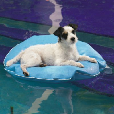 dachshund inflatable pool float