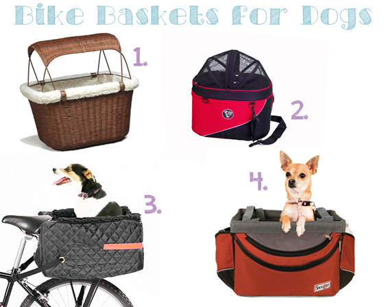 dachshund bike basket